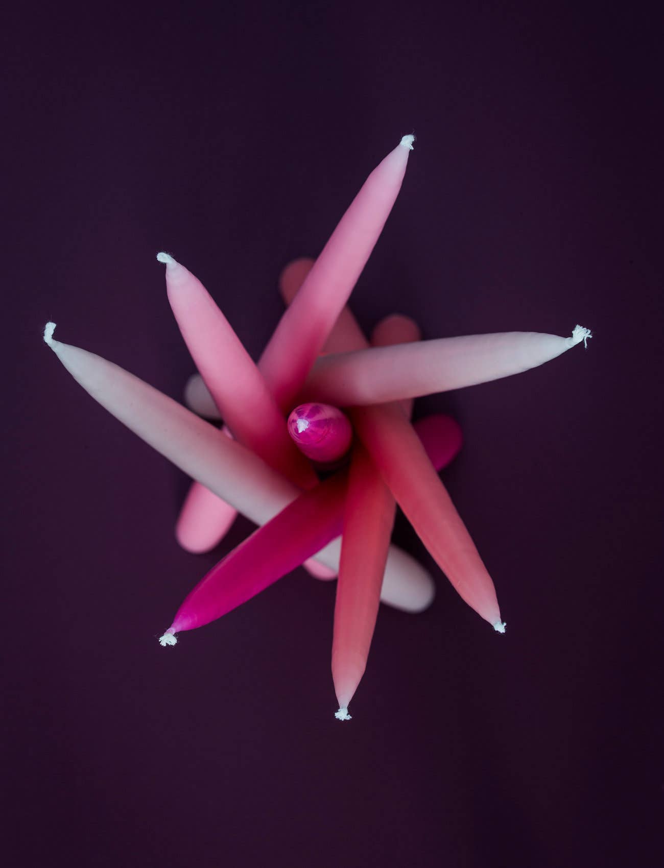 Hot Pink Danish Taper Candle 10", 12", 14"