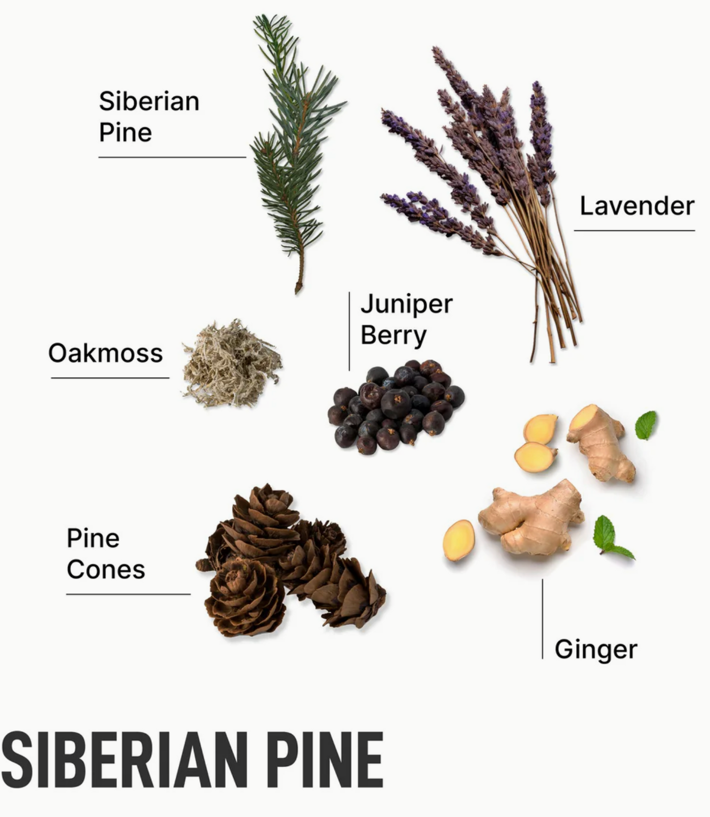 Siberian Pine- Laundry Detergent Pods 30ct