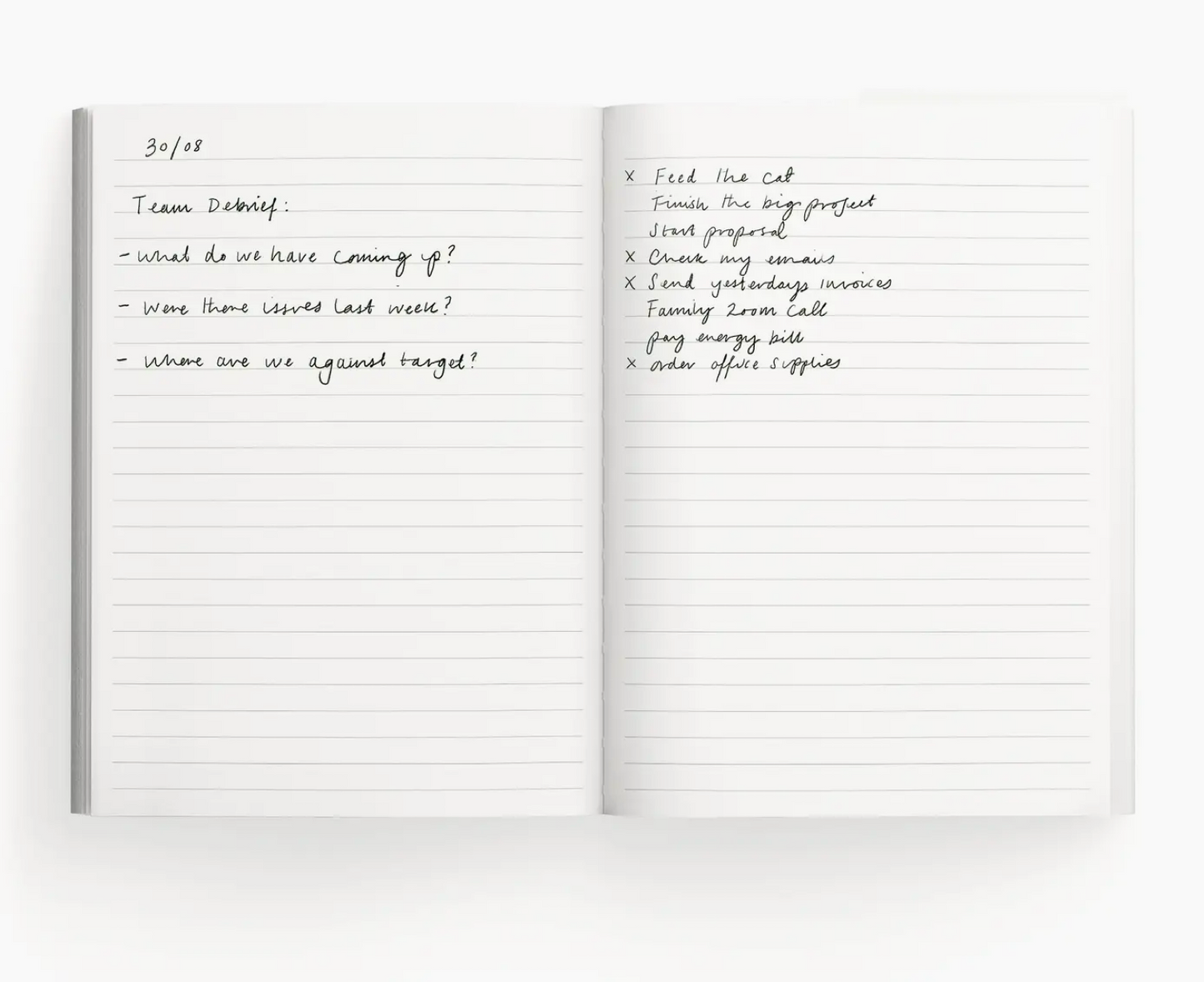 Striped Zebra Notebook