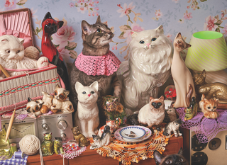Cat Person- 1000 Piece Puzzle