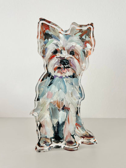 Light Yorkie Acrylic Small Shelfie
