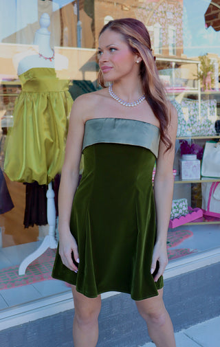 Olive Hour Velvet Strapless Dress
