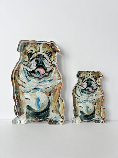 Fawn & White BulldogAcrylic Mini Shelfie