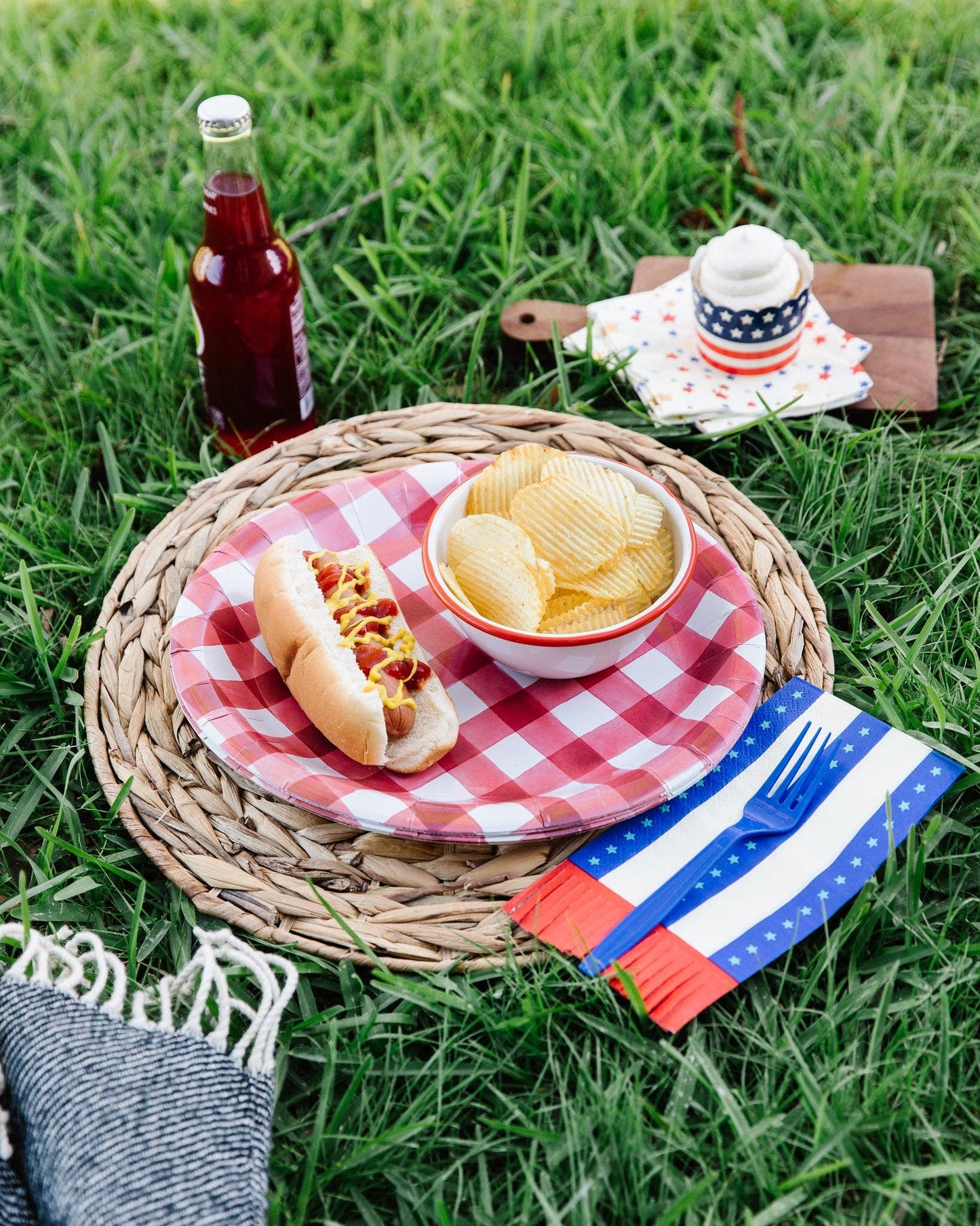 Stripes with Fringe Dinner Napkin 24ct