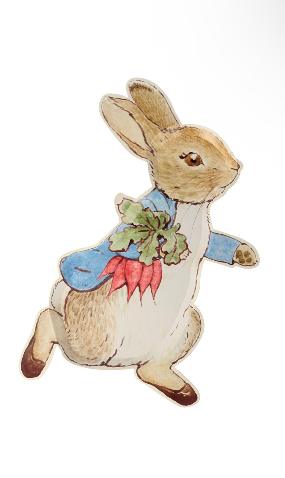 Meri Meri Peter Rabbit Plates 8ct