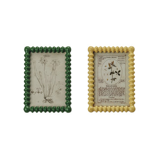 Two framed botanical illustrations with decorative borders on a white background