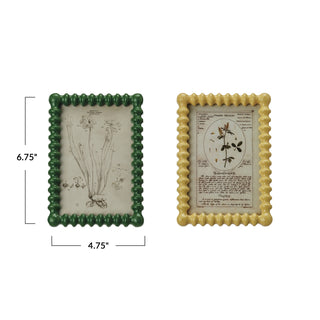 Two framed botanical illustrations with dimensions on a white background