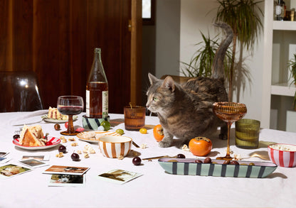 Cat sitting at a table with food and drinks, with a plant and shelf in the background.