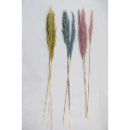 Chartreuse Pampas Grass Bunch of 3