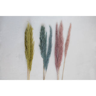Chartreuse Pampas Grass Bunch of 3