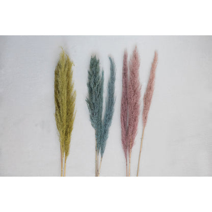 Chartreuse Pampas Grass Bunch of 3