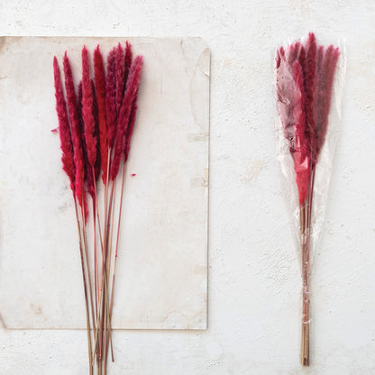 Fuchsia Pampas Grass Bunch (10 Pieces)