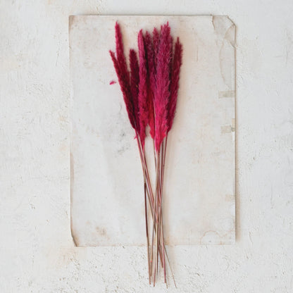 Fuchsia Pampas Grass Bunch (10 Pieces)