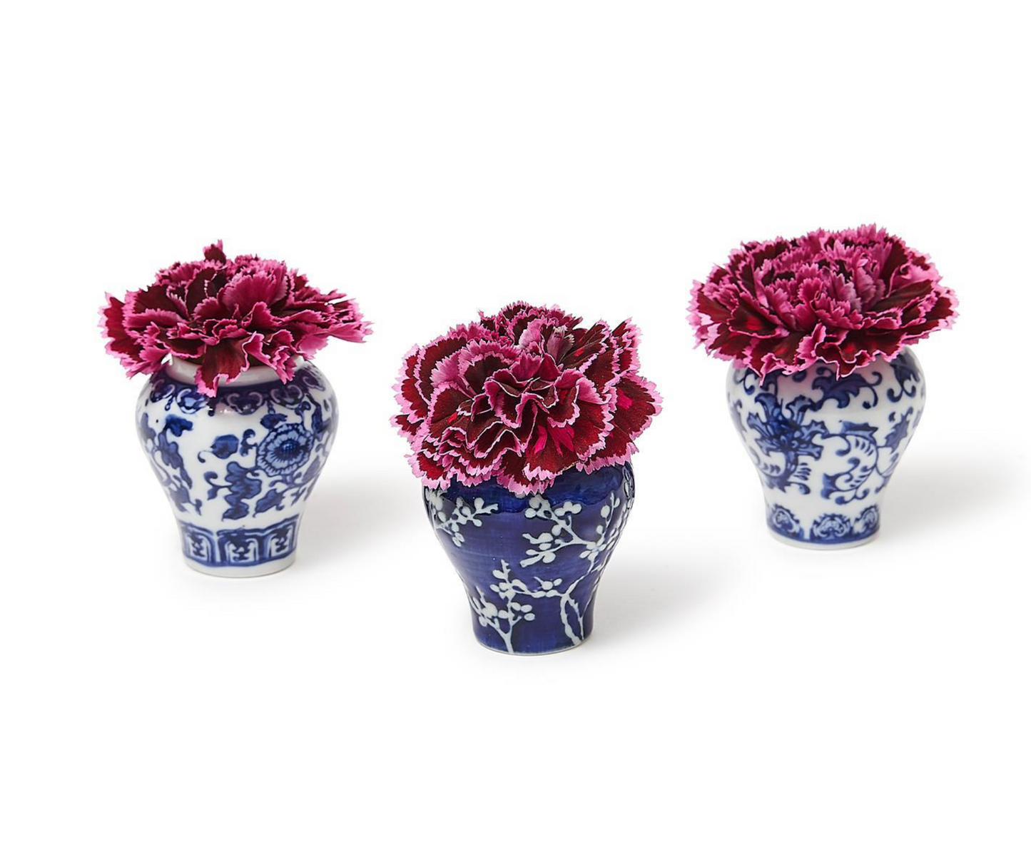 Mini Ginger Jar + 20 Pearl Food Picks, 3 Styles