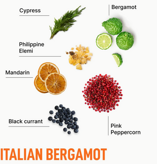 Italian Bergamot- Luxury Scented Dryer Sheets