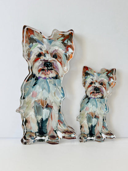 Light Yorkie Acrylic Small Shelfie