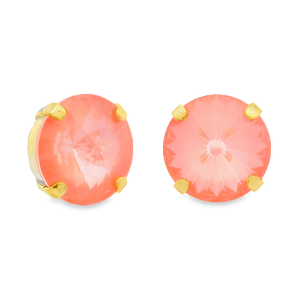 The Basics Studs in Midnight Express: Flamingo Ignite