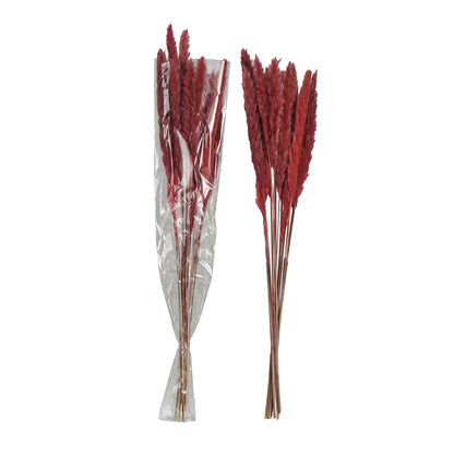 Dried Natural Pampas Grass Bunch (Contains 10 Pieces)
