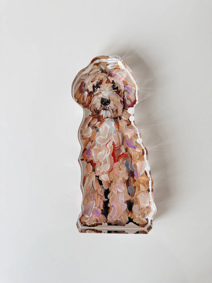 Classic Goldendoodle Acrylic Mini Shelfie