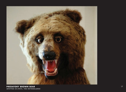Crap Taxidermy: The Ultimate Illustrated Guide to Hilariously Bad Stuffed Animals